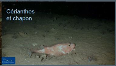 JPEG - 19.9 ko